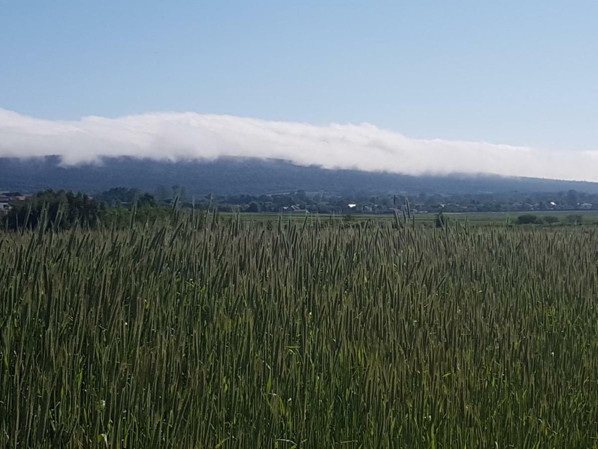 Vila Mendokowe Ranczo Gorno-Parcele Exteriér fotografie